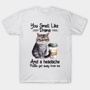 You Smell Like Drama And A Headache T-Shirt